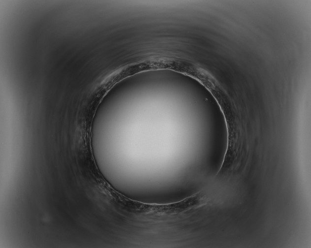 X0000085760773200703231154