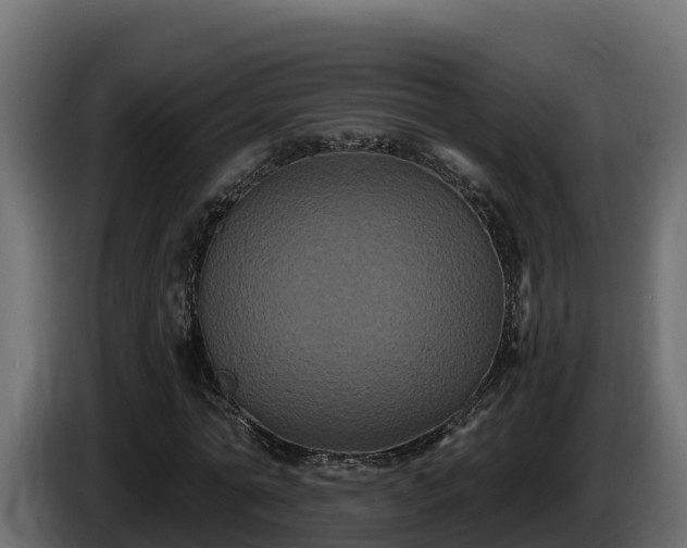 X0000085760774200703231153