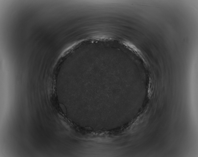 X0000085760775200703231153