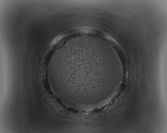 X0000085760776200703231153
