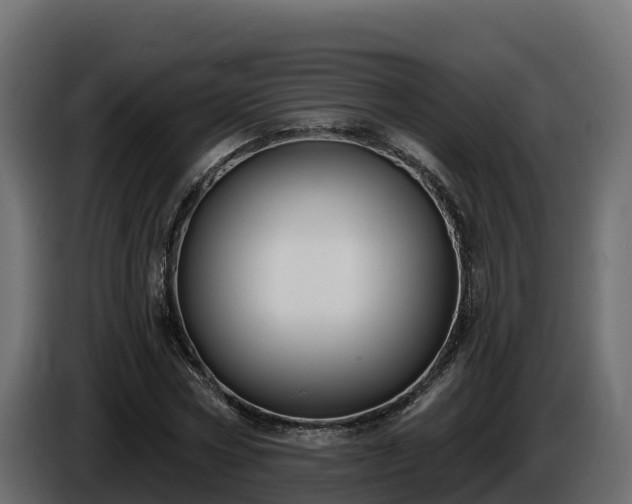 X0000085760778200703231153