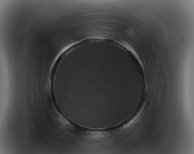 X0000085760779200703231153
