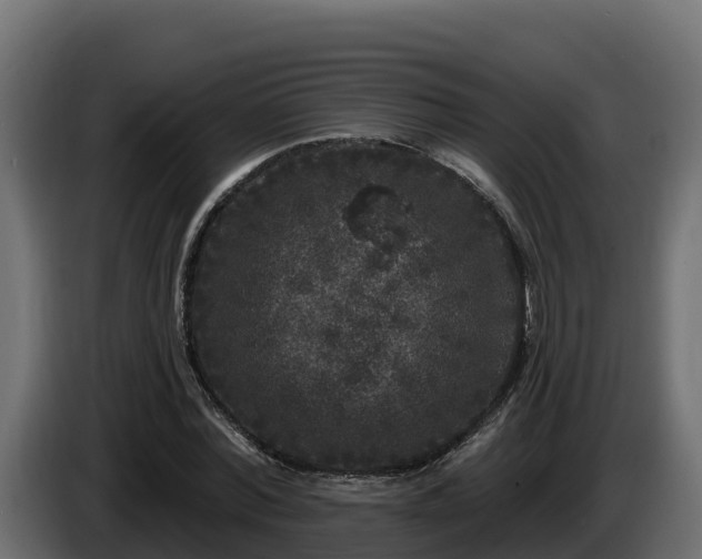 X0000085760780200703231153