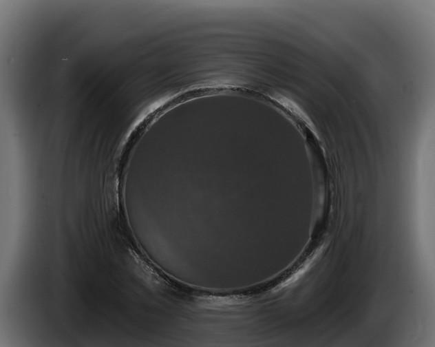 X0000085760781200703231153