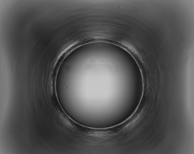 X0000085760782200703231153