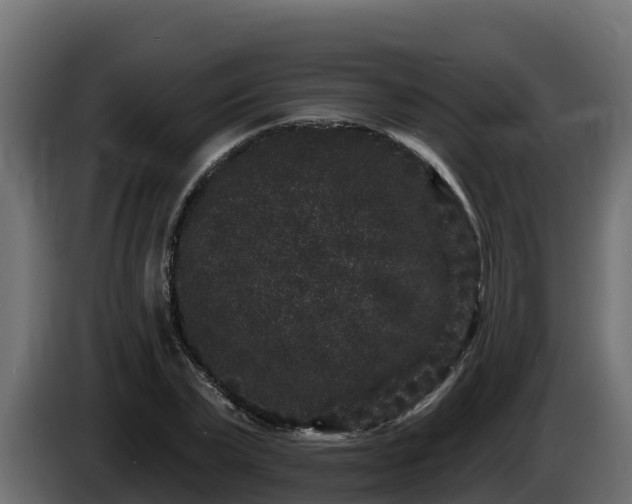 X0000085760783200703231153