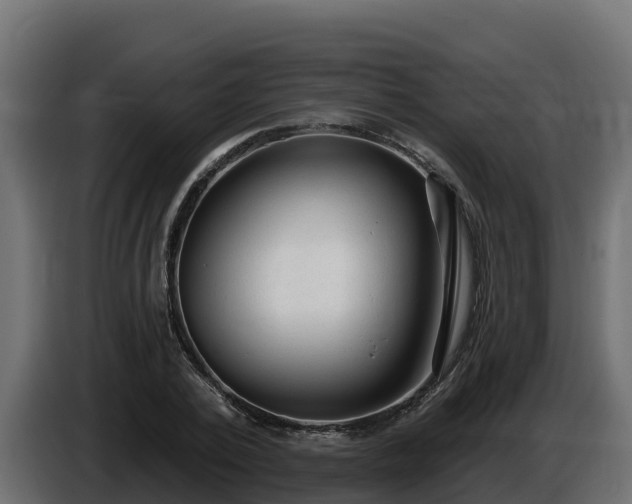 X0000085760784200703231153