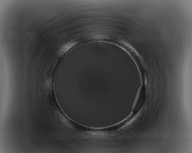 X0000085760785200703231153