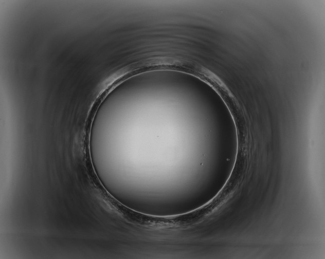 X0000085760786200703231153