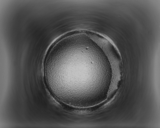 X0000085760791200703231153