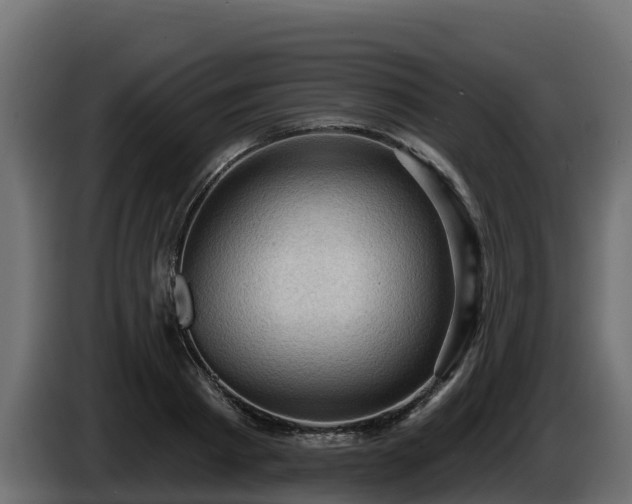 X0000085760793200703231153