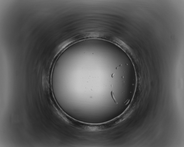 X0000085760794200703231153
