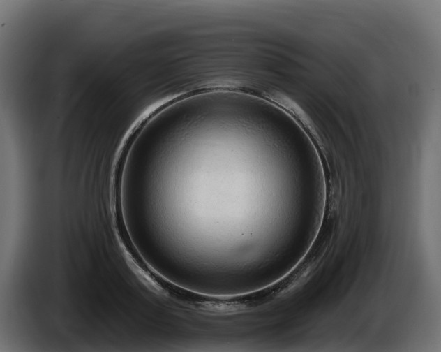 X0000085760795200703231153