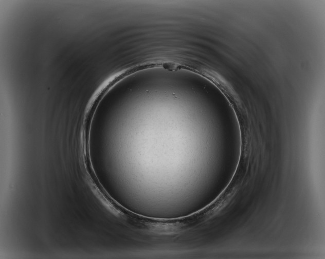 X0000085760796200703231153