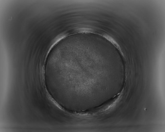 X0000085760798200703231153