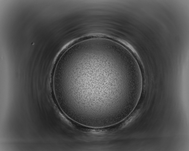 X0000085760799200703231153