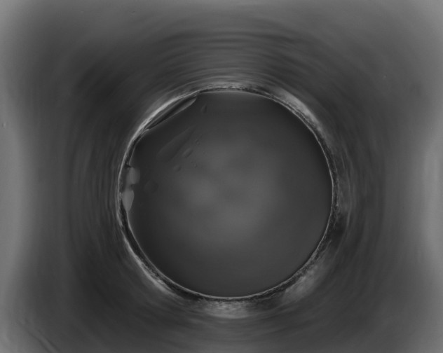 X0000085760802200703231153