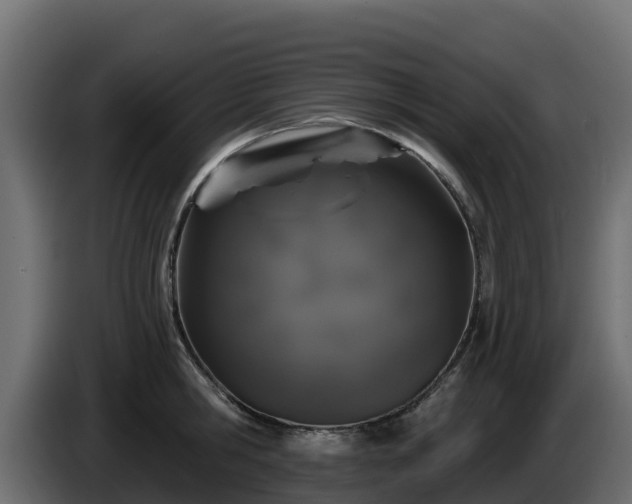 X0000085760806200703231153