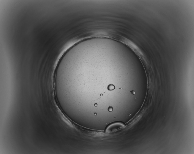 X0000085760808200703231153