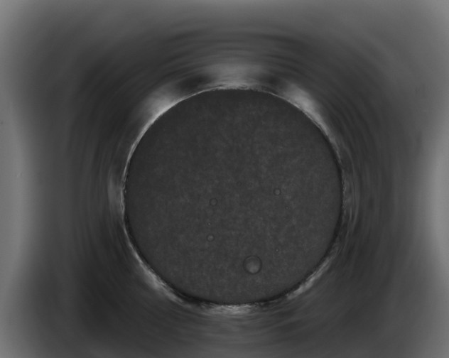 X0000085760810200703231153