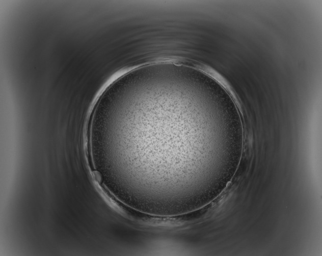 X0000085760811200703231153