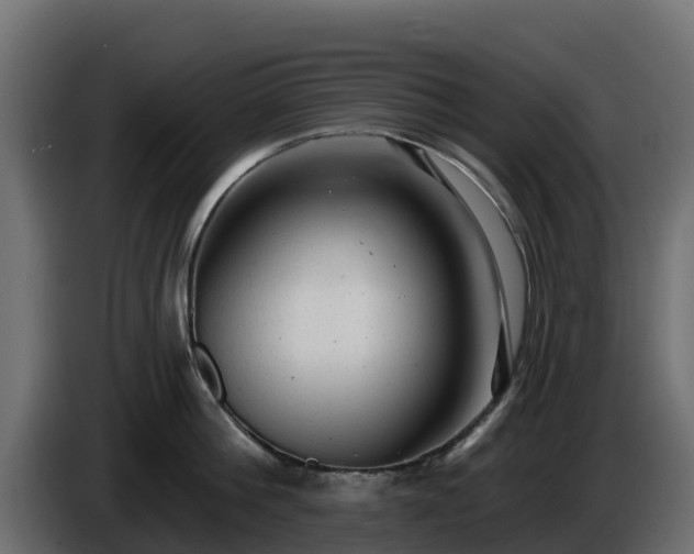 X0000085760812200703231153