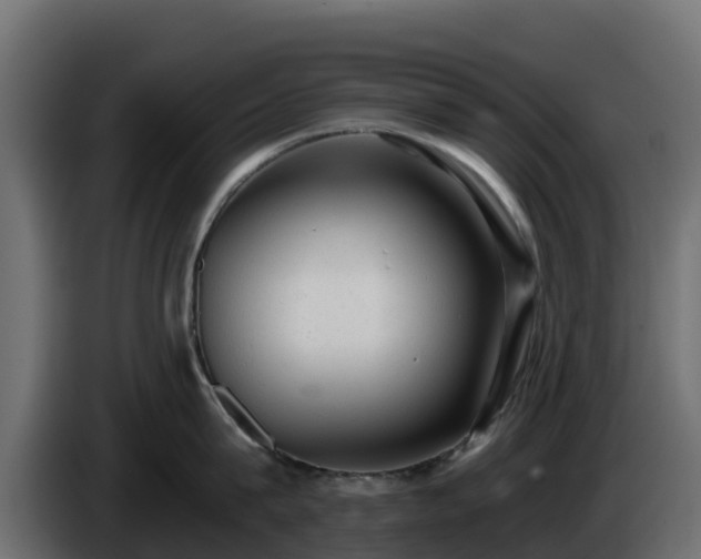 X0000085760815200703231153