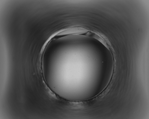 X0000085760816200703231153