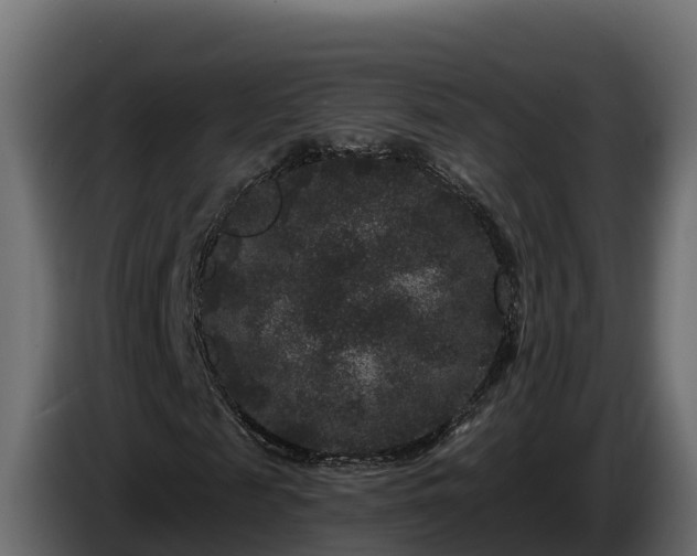 X0000085760817200703231152