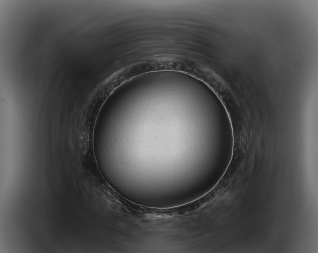 X0000085760821200703231152