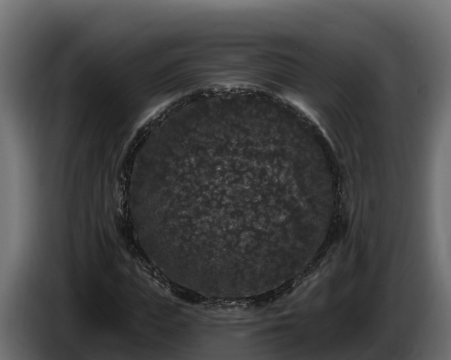 X0000085760823200703231152