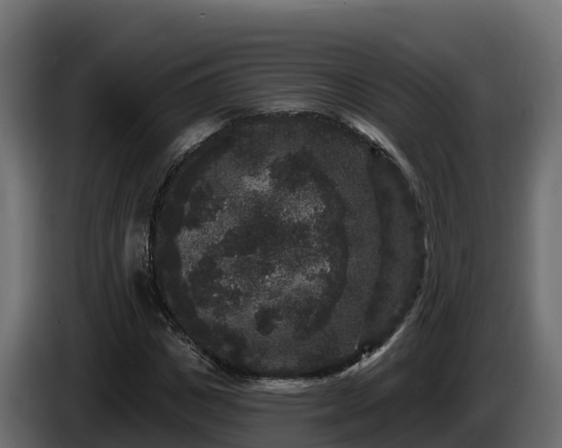 X0000085760825200703231152
