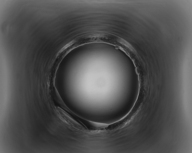 X0000085760826200703231152