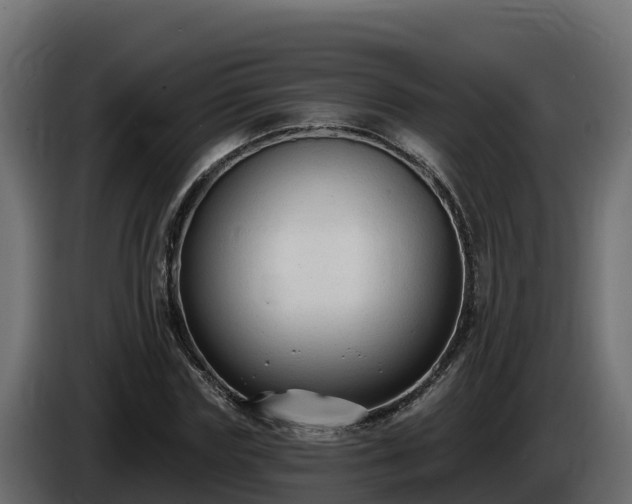 X0000085760827200703231152