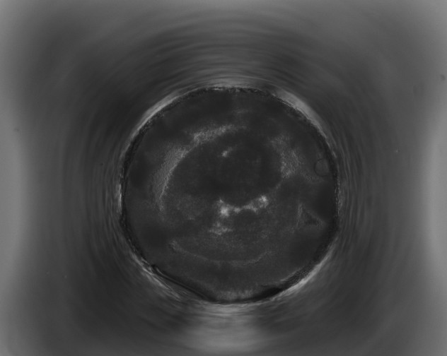 X0000085760829200703231152
