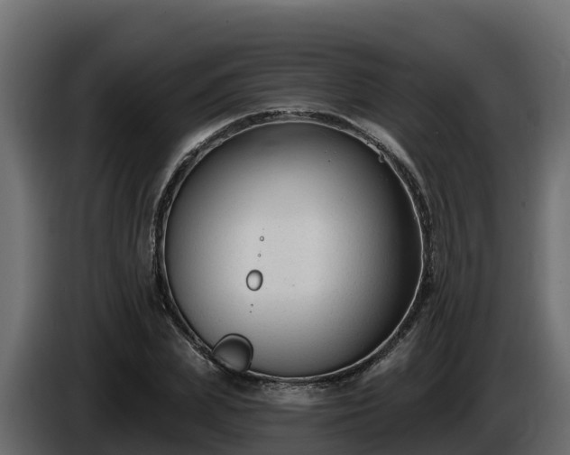 X0000085760831200703231152