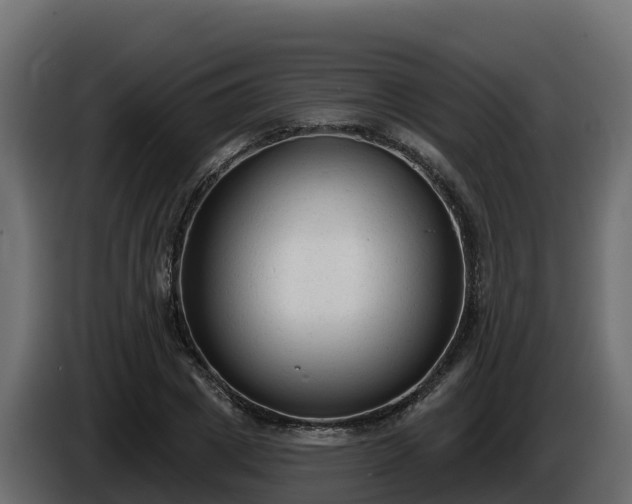 X0000085760833200703231152