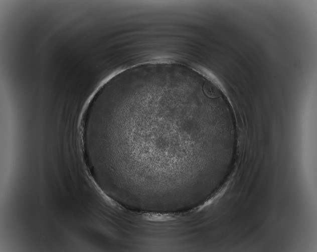 X0000085760835200703231152