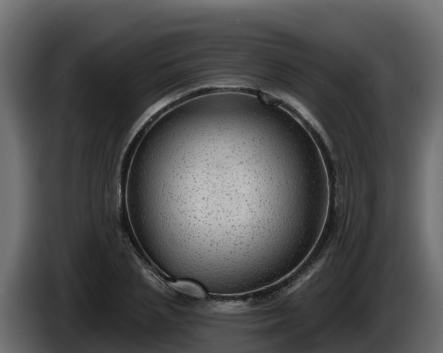 X0000085760837200703231152