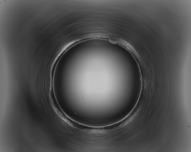X0000085760844200703231153