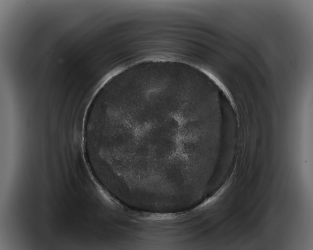 X0000085760845200703231153