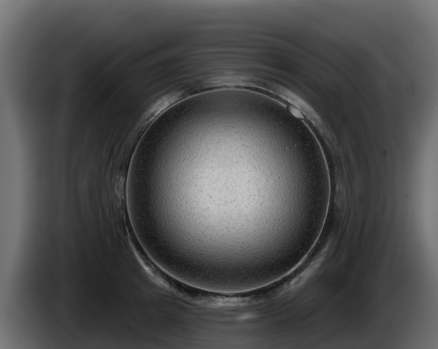 X0000085760849200703231153