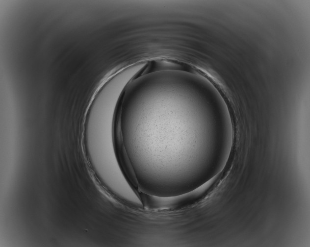 X0000085760850200703231153