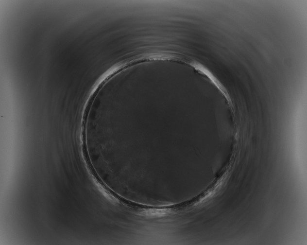 X0000085760853200703231153