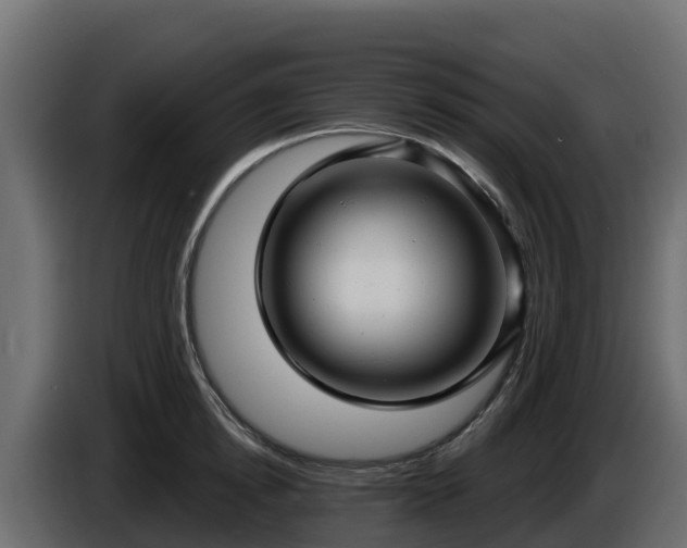 X0000085760854200703231153