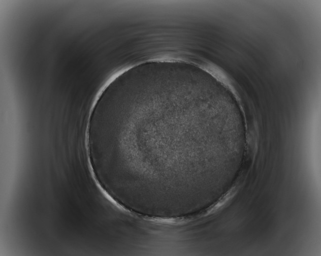 X0000085760855200703231153