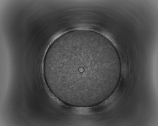 X0000085760856200703231153