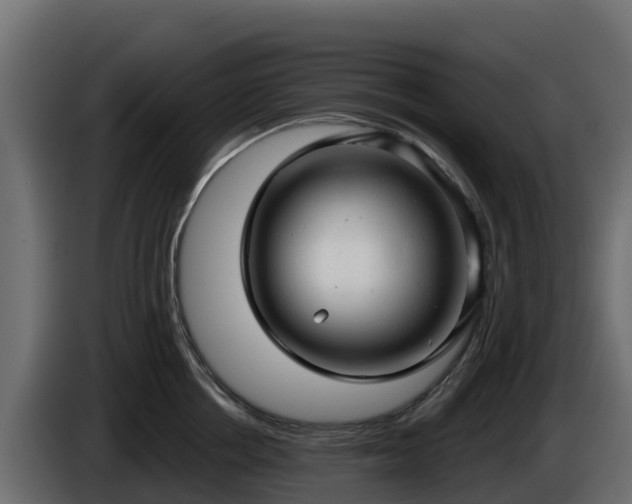 X0000085760858200703231153