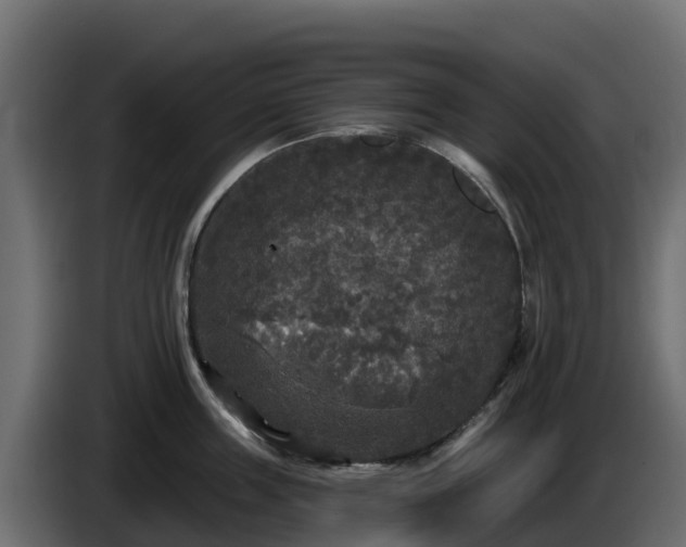 X0000085760859200703231153