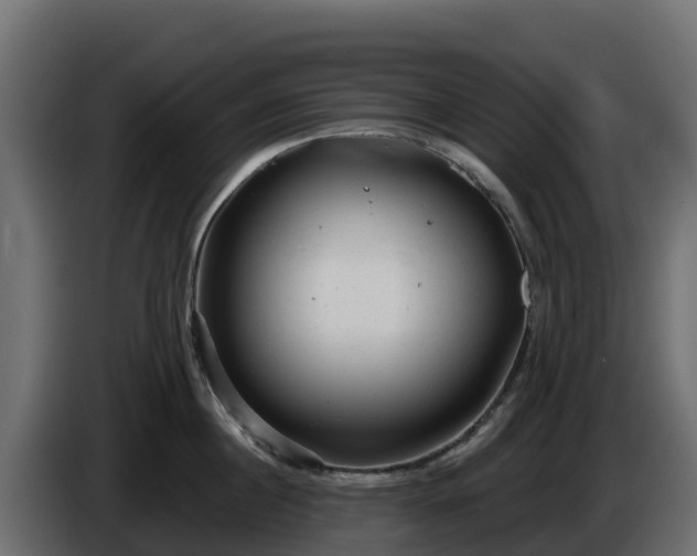 X0000085760860200703231153